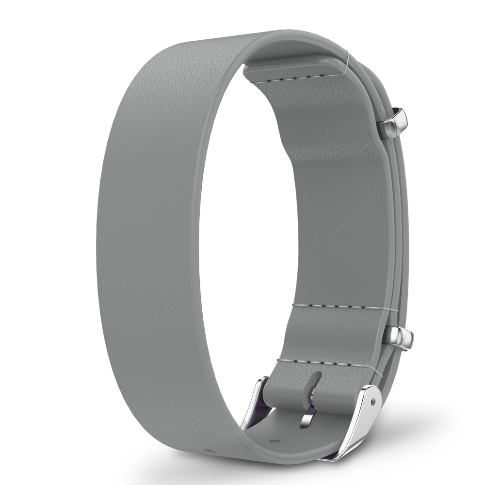 Interchangeable straps