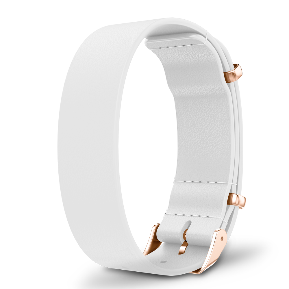 Interchangeable straps