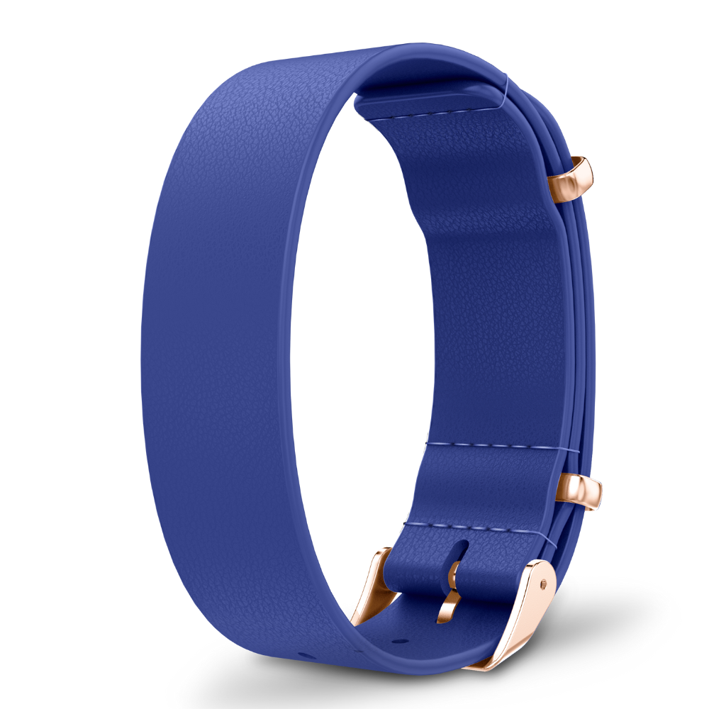 Interchangeable straps