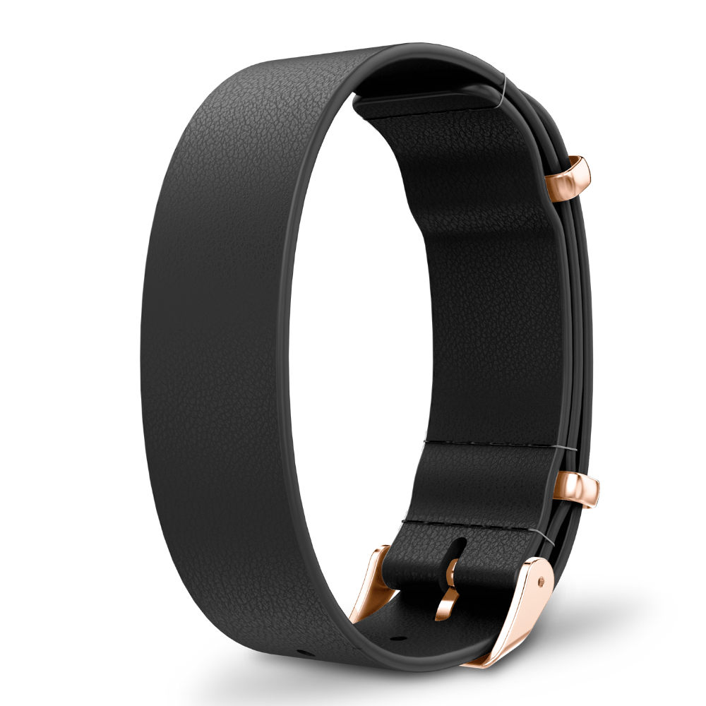 Interchangeable straps
